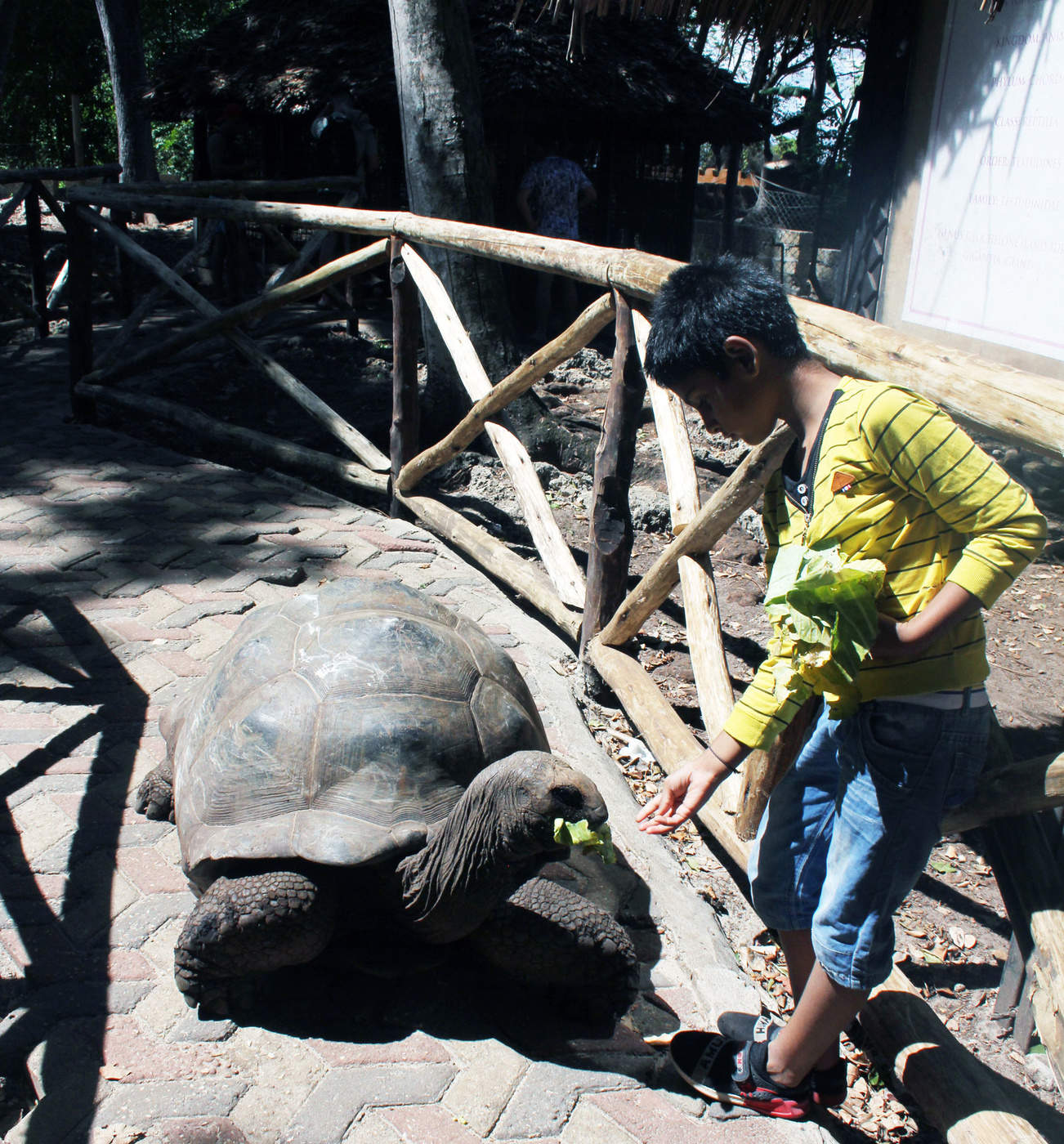 Das Naturschutzgebiet