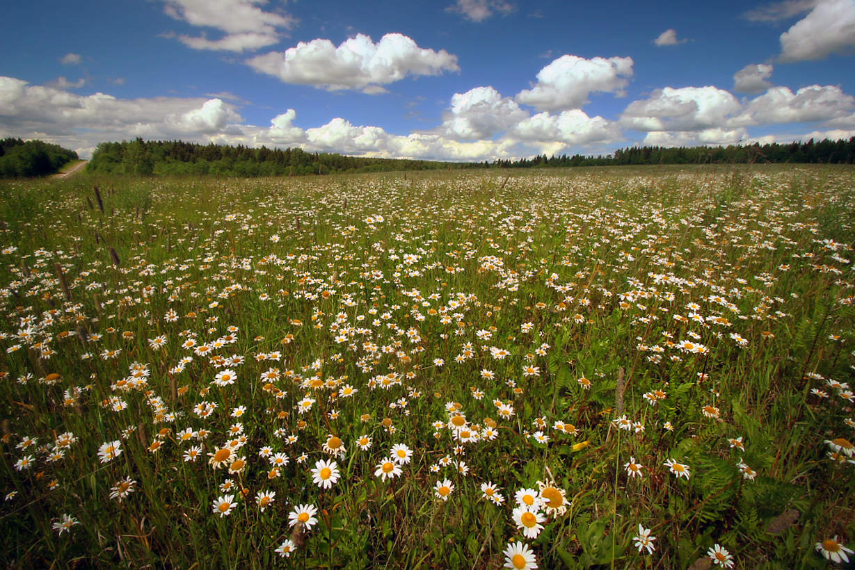 Auf der anderen Station wird fallen ...