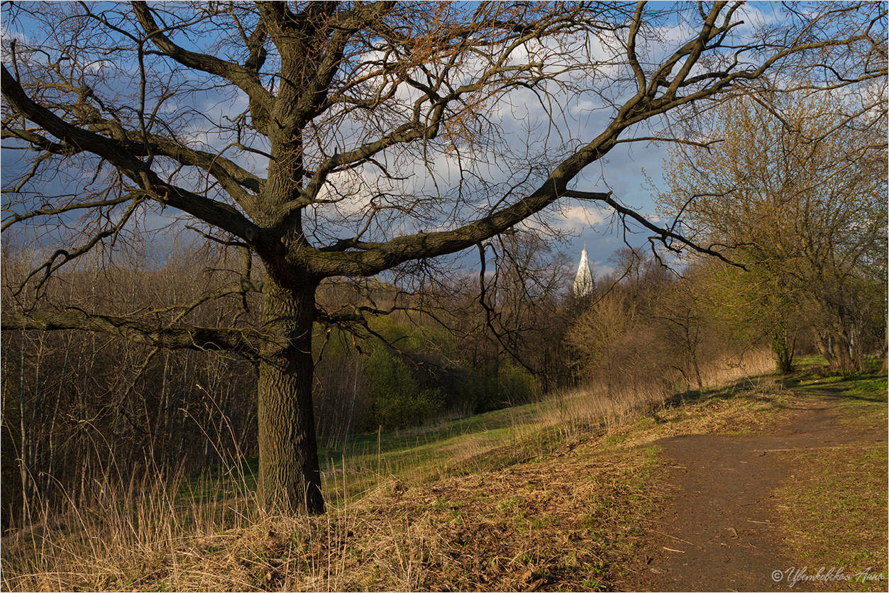 Frühling in Kolomenskoye