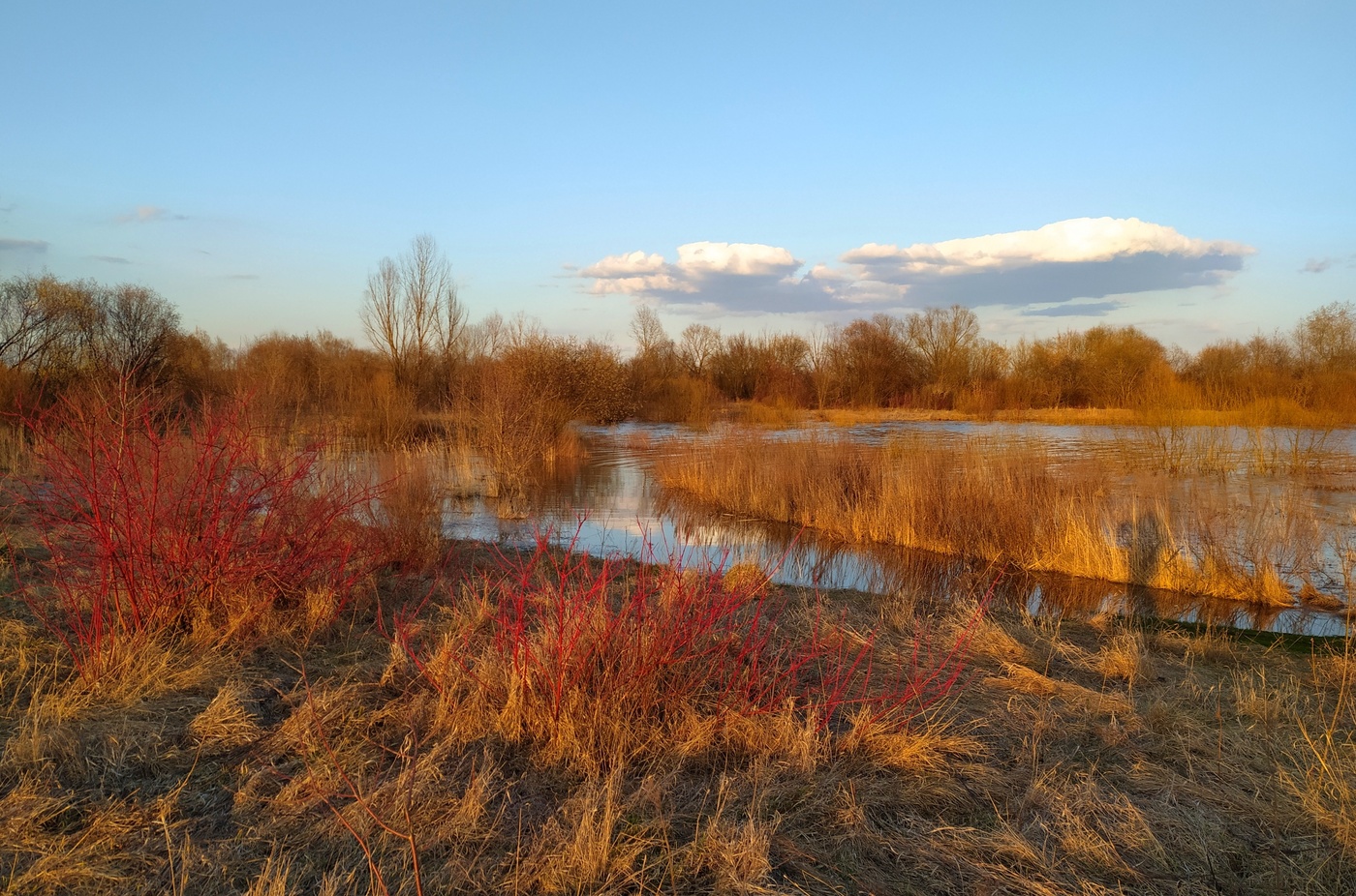 Verspätete Frühjahr