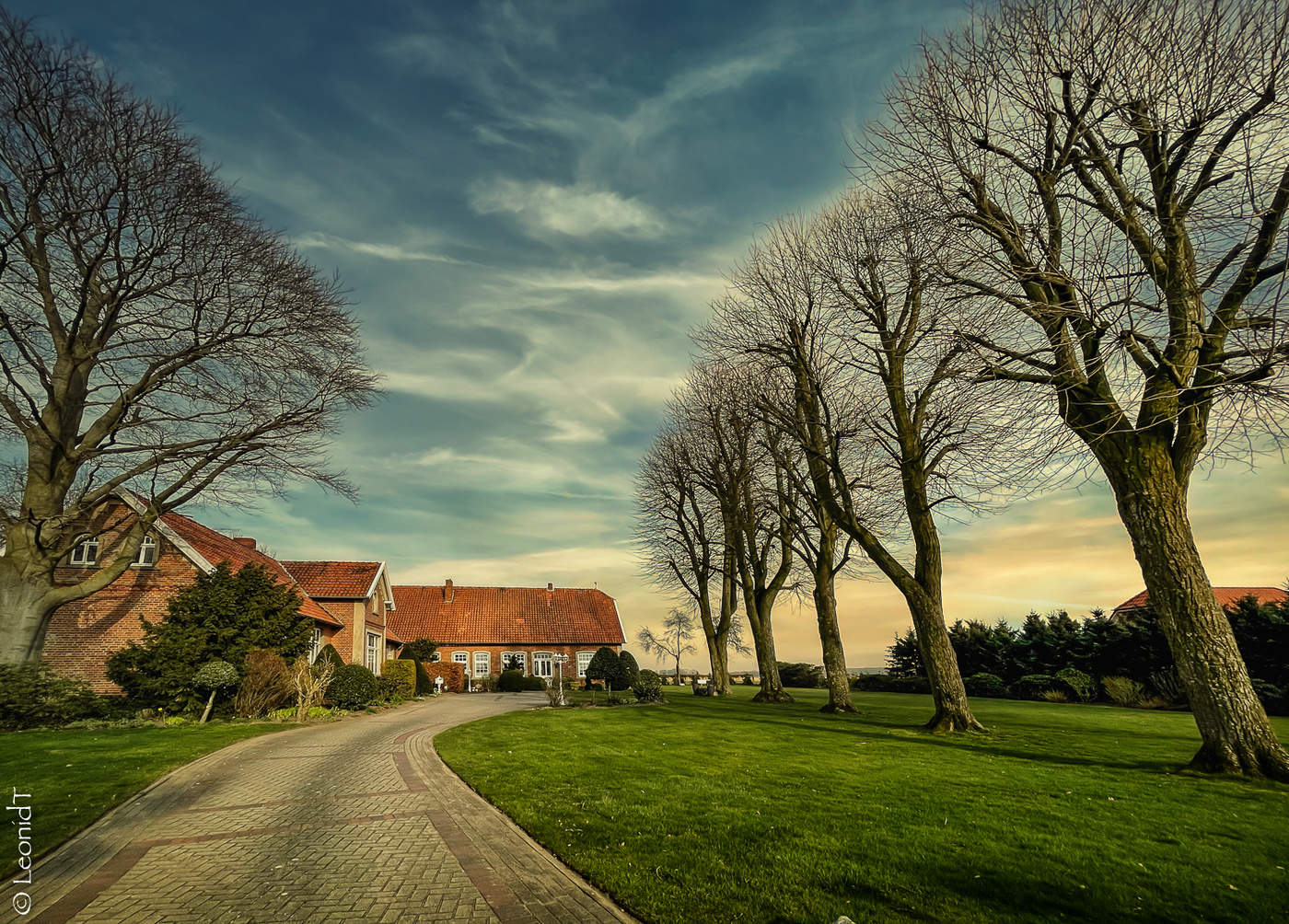 Wenn die Bäume groß