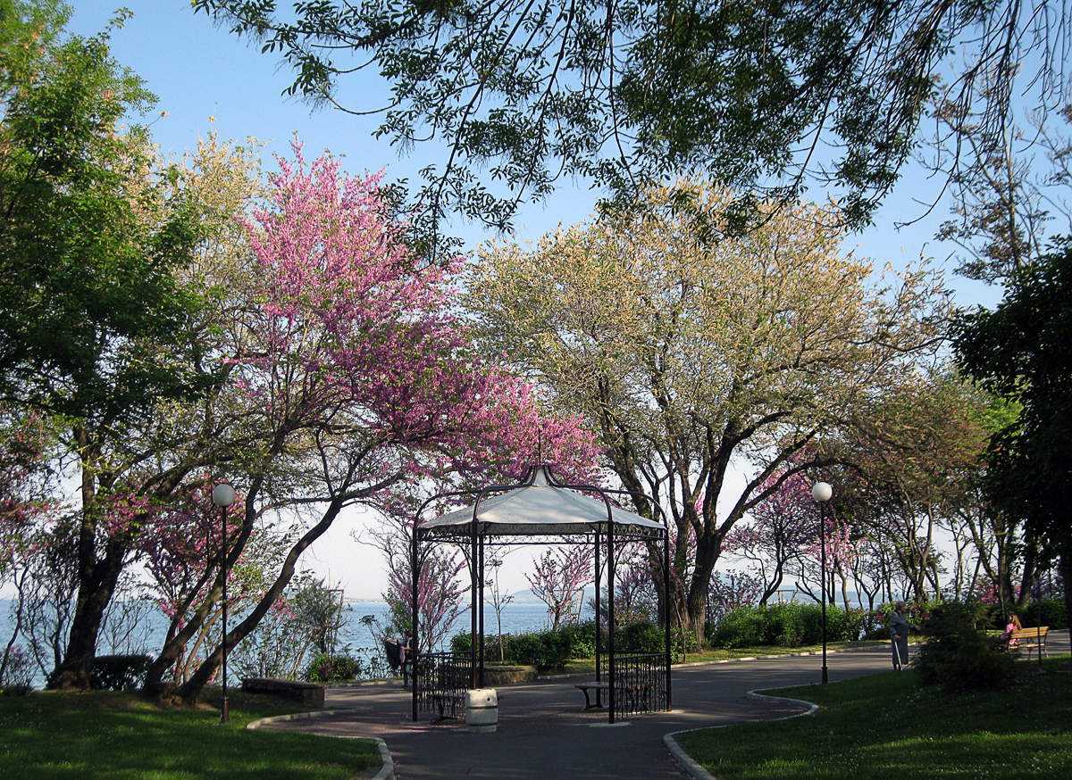 Farben des Frühlings