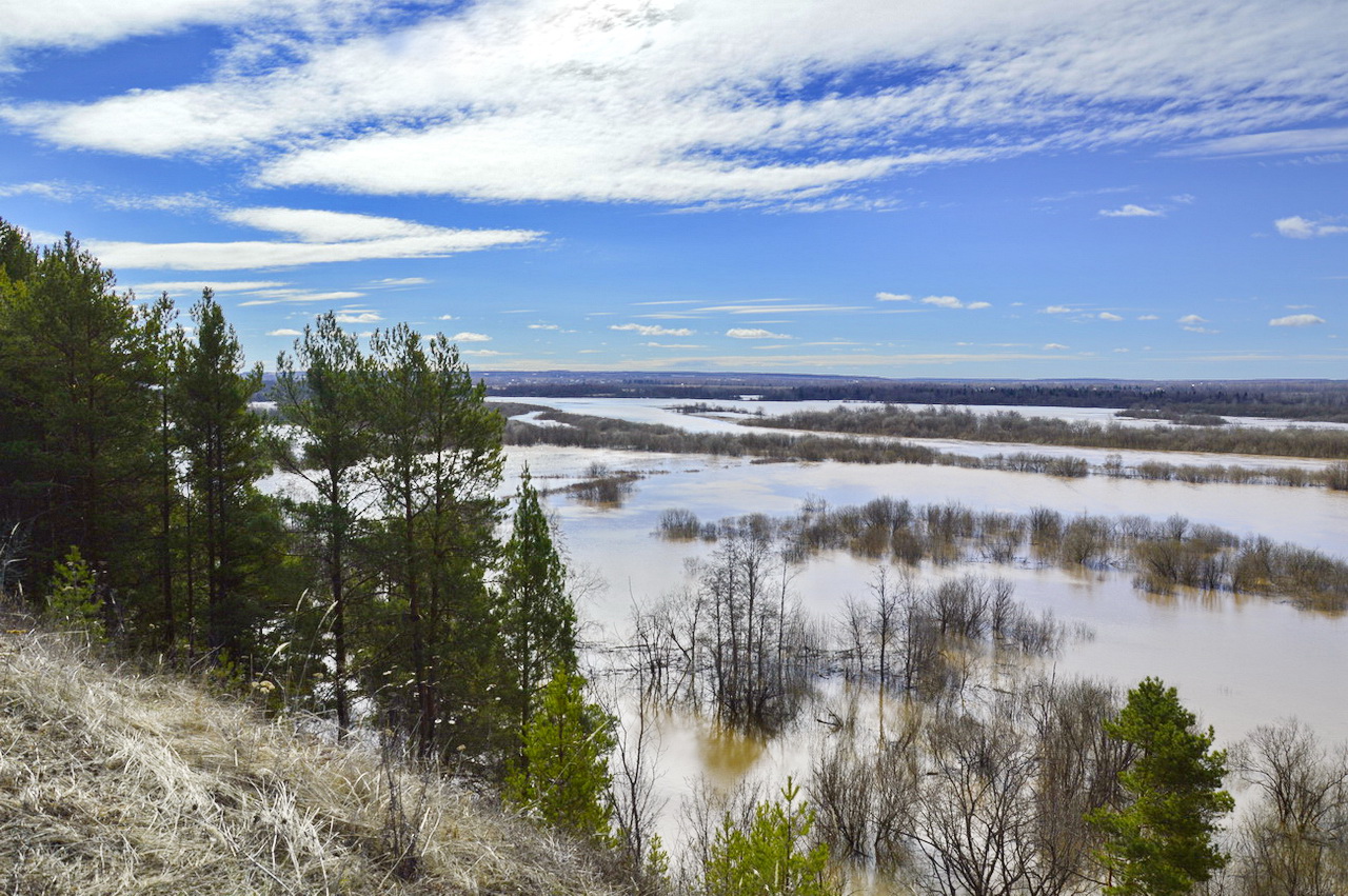 Frühlingslandschaft