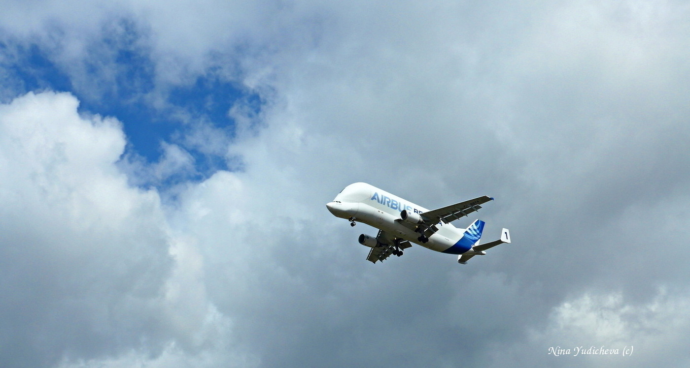 AIRBUS. BELUGA