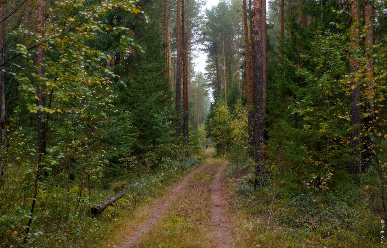 nach regen am Donnerstag