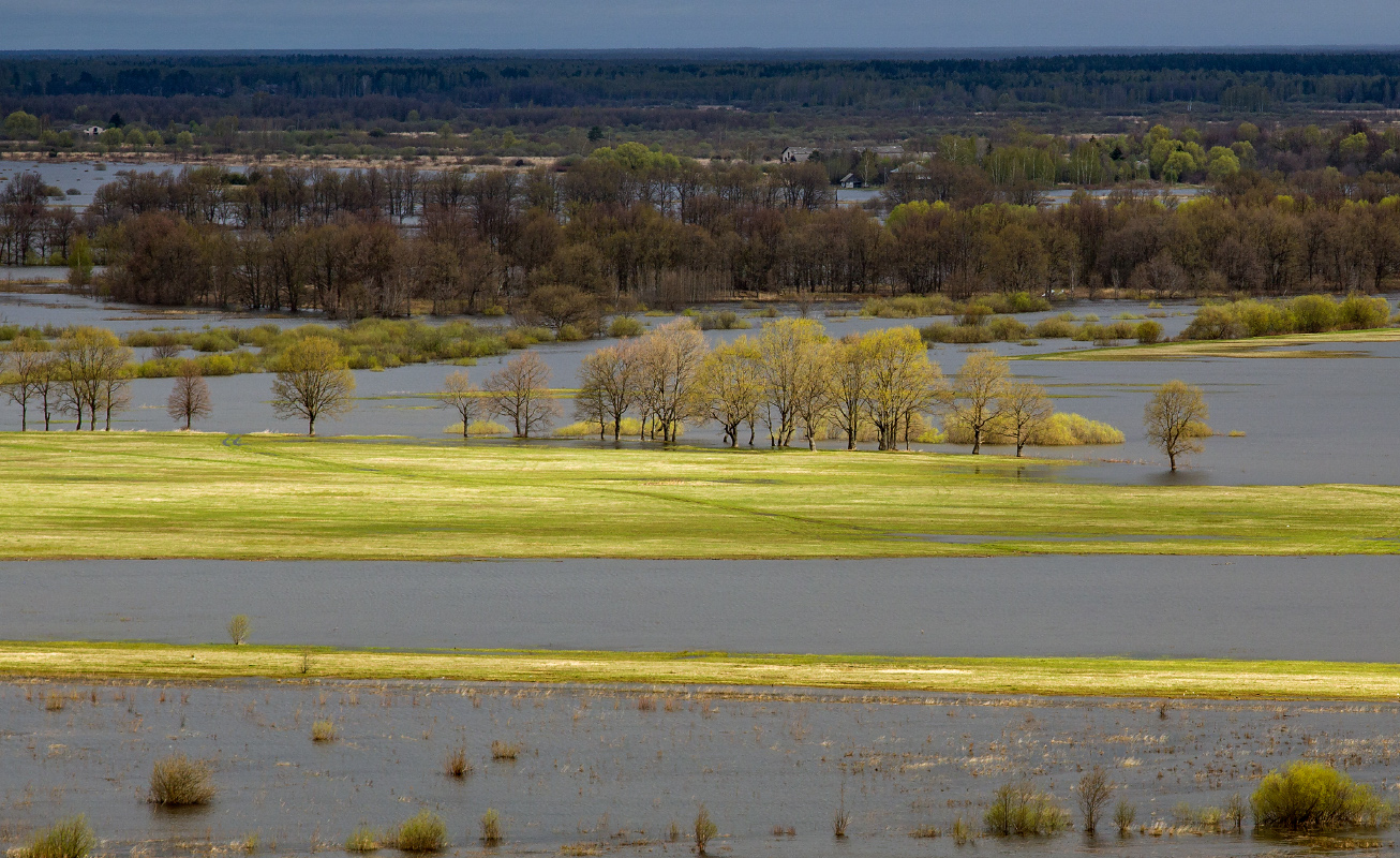 Frühling Geschichte
