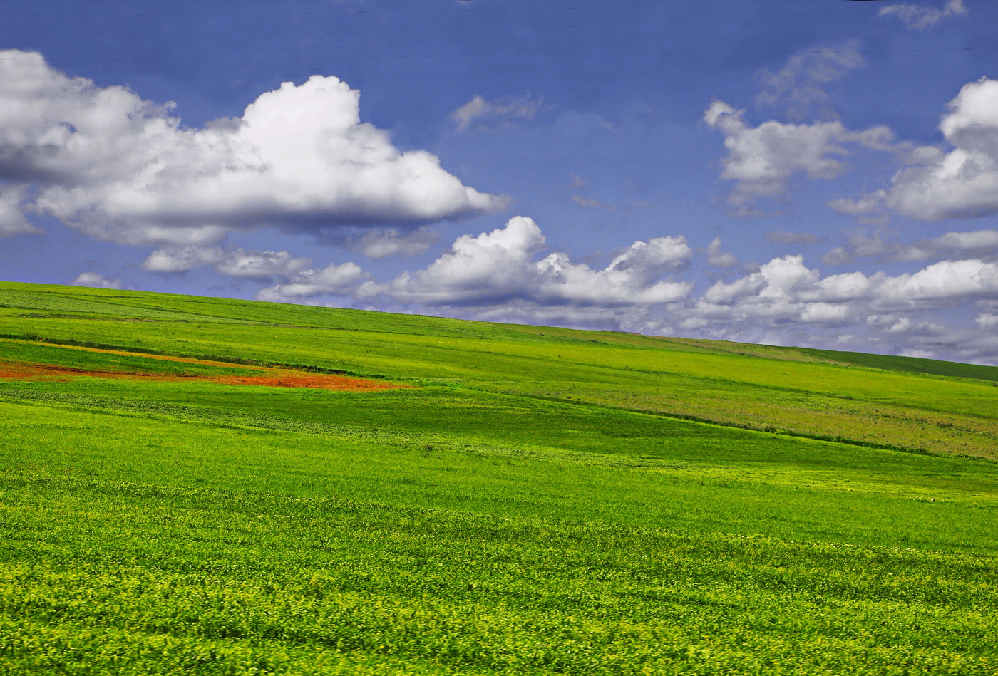 Spring an Freiflächen