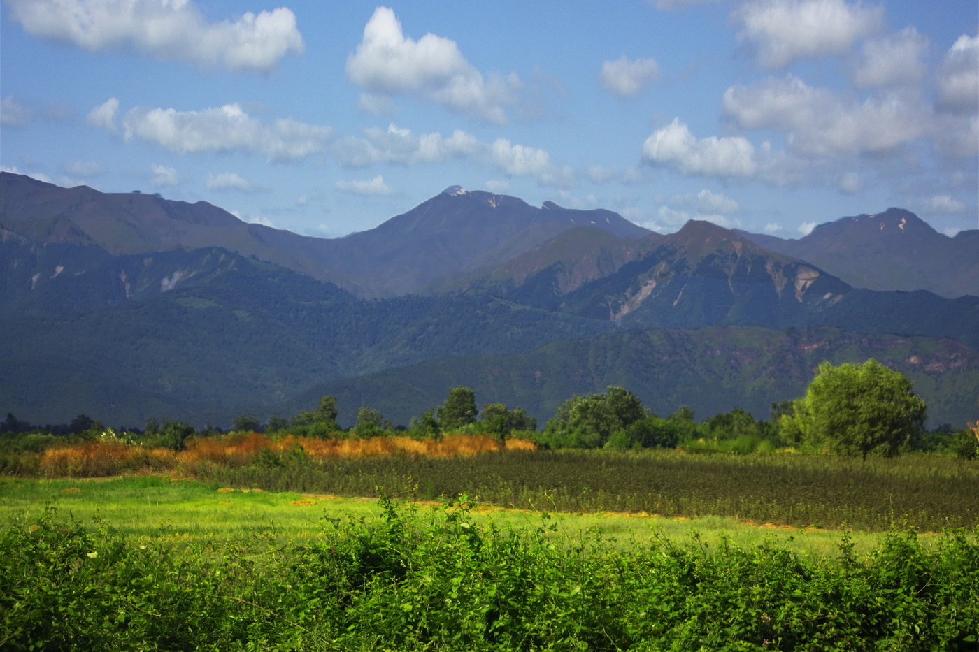 Frühlingslandschaft