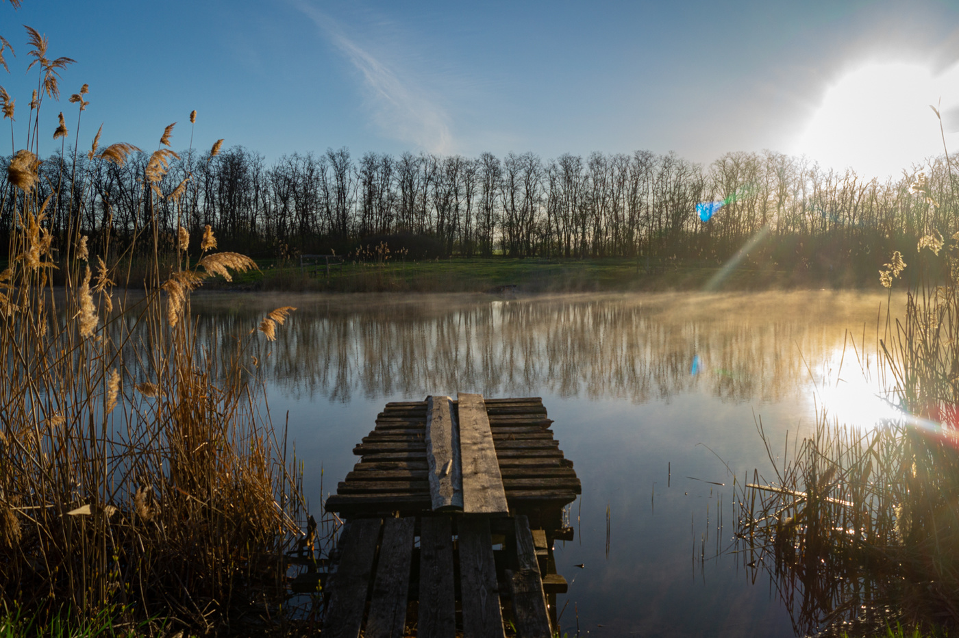 Morgen auf dem Fluss