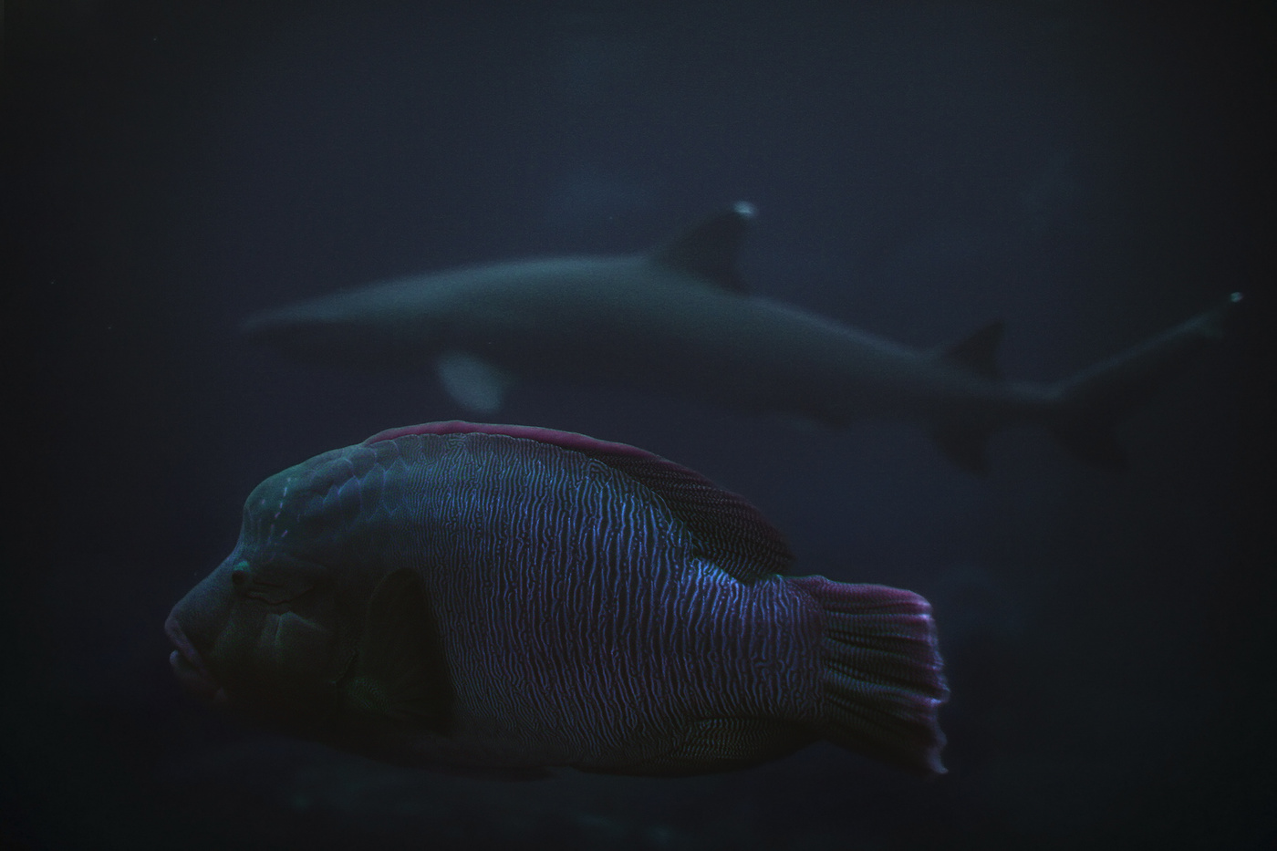 What do you know about good background?