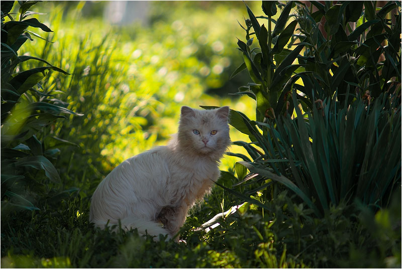 auf einen Zeitpunkt,