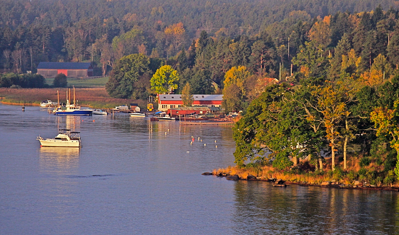 Zärtlichkeit der Natur