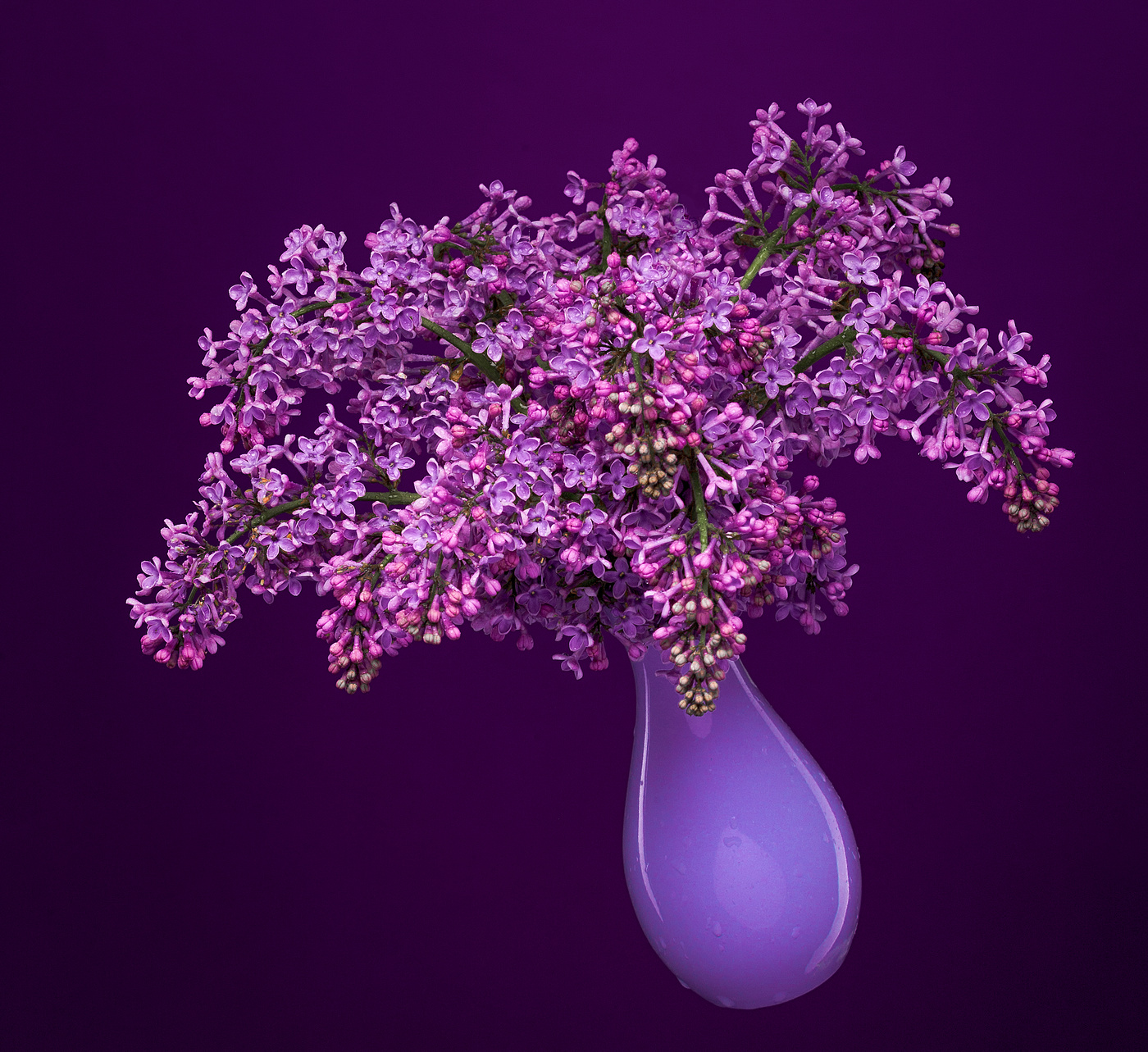 Lilac Bouquet