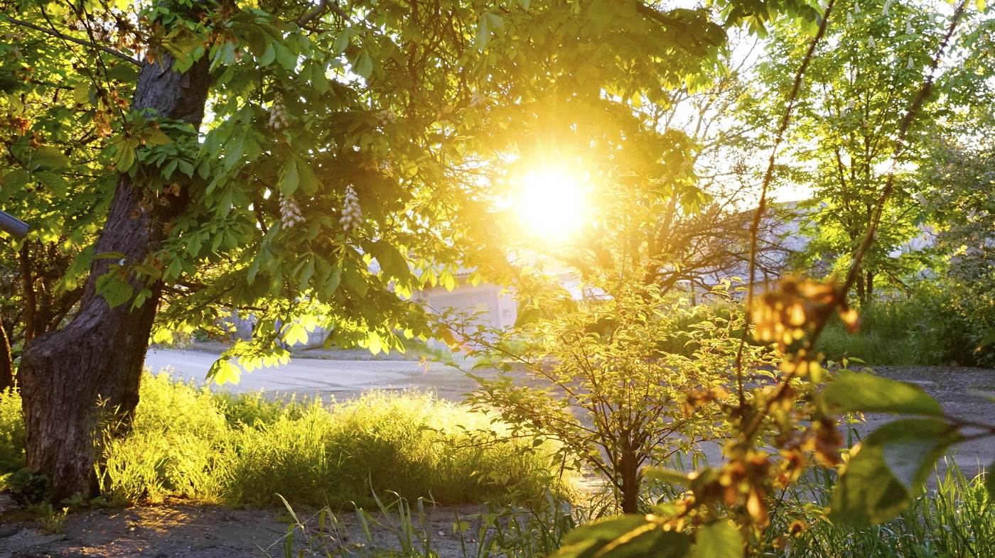 Die ersten Strahlen der Sonne