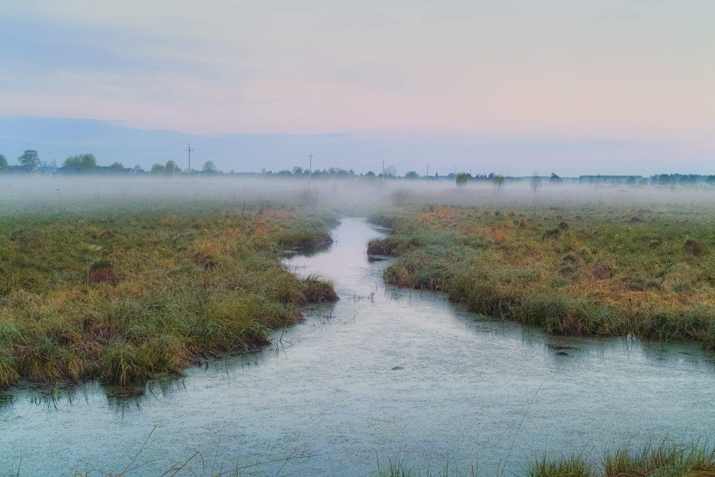 Dämmerung auf dem Sumpf