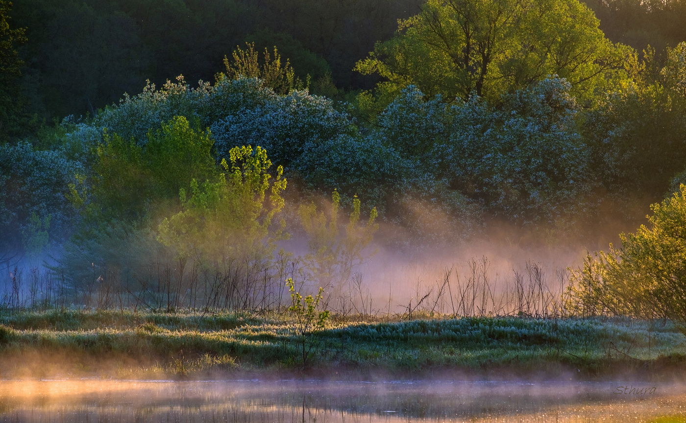 Auf dem anderen Ufer.