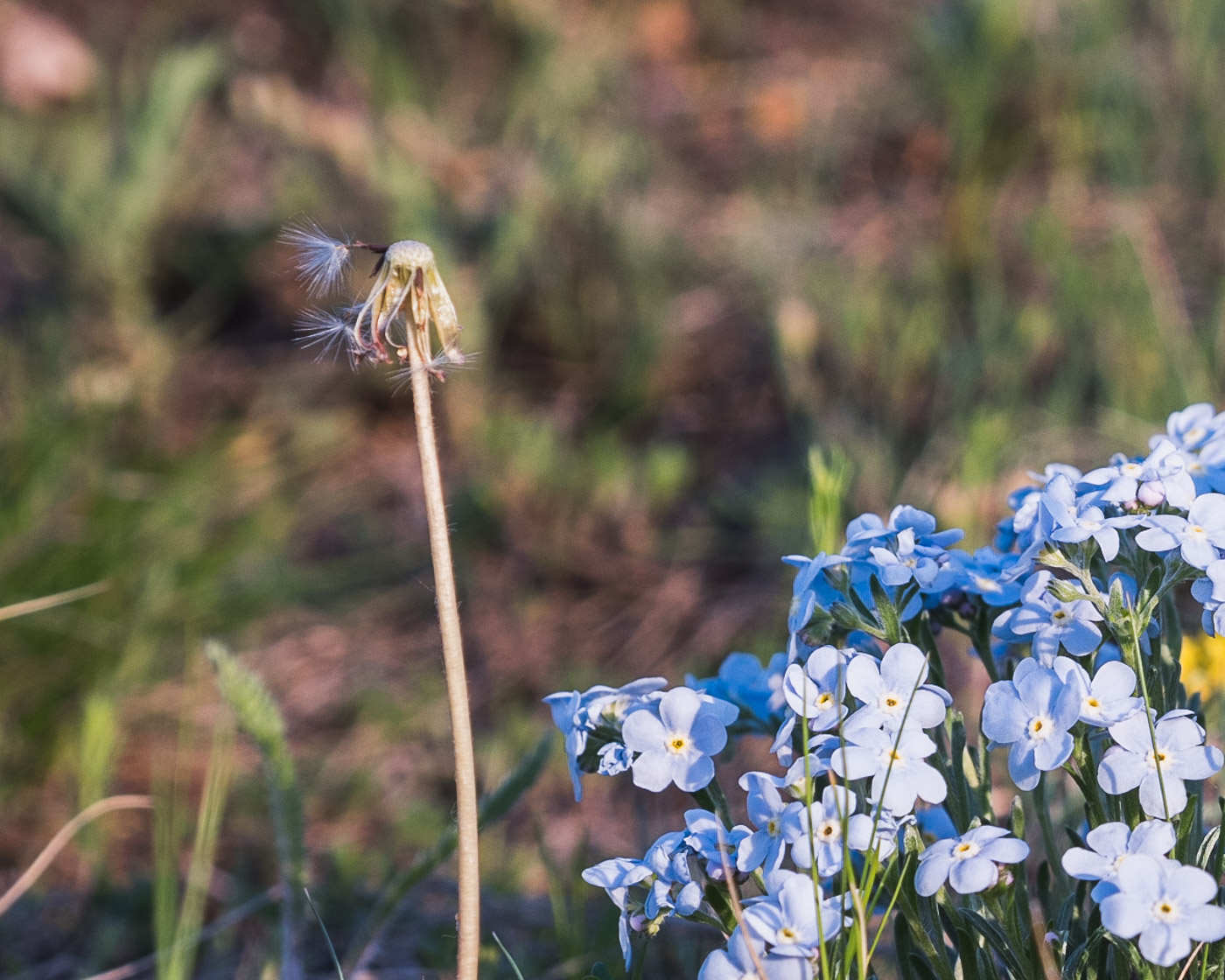 Ändern Sie ist gekommen,