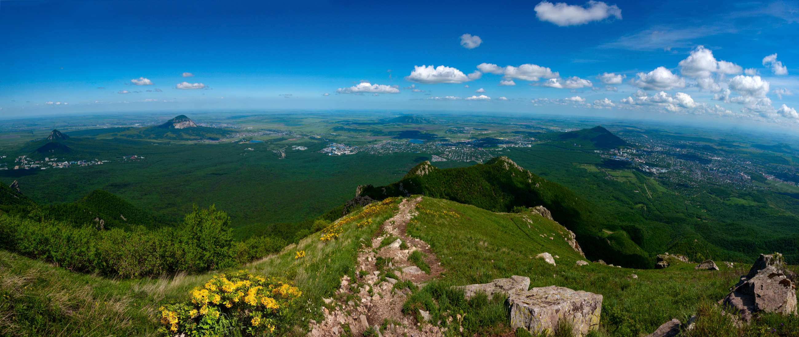 Frieden in der Handfläche