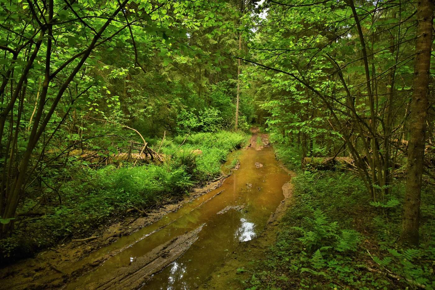 Oh, die Straßen ...