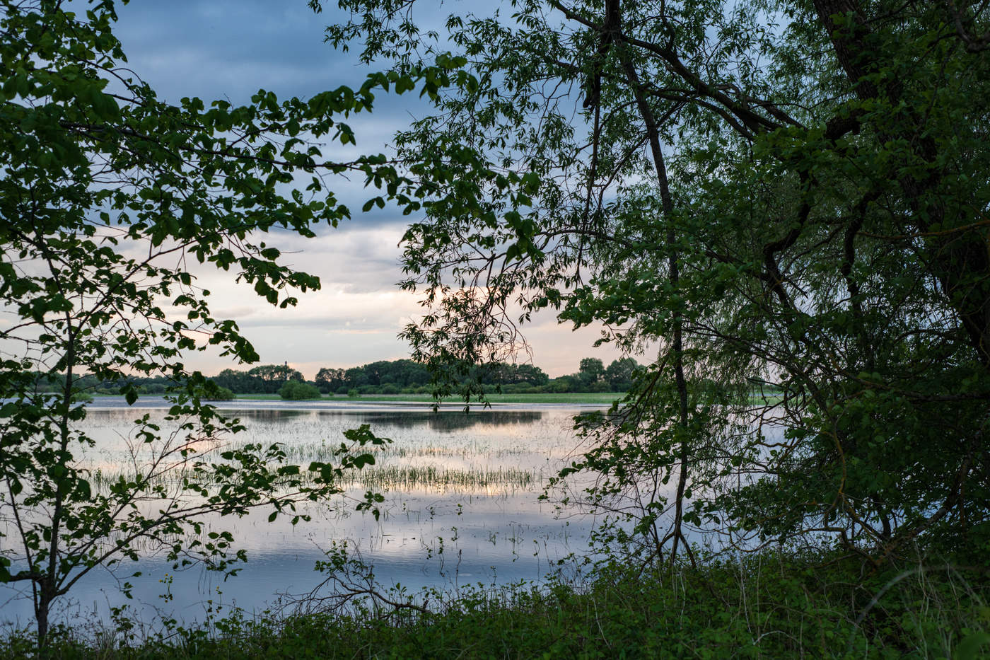 Ruhig, nur beruhigen