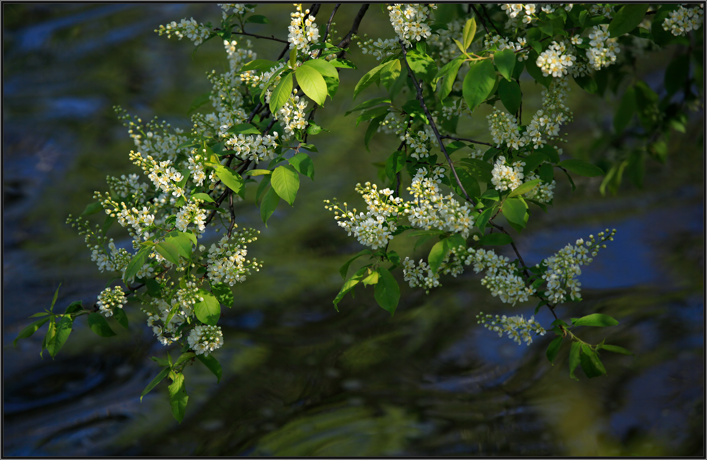 über das Wasser ...