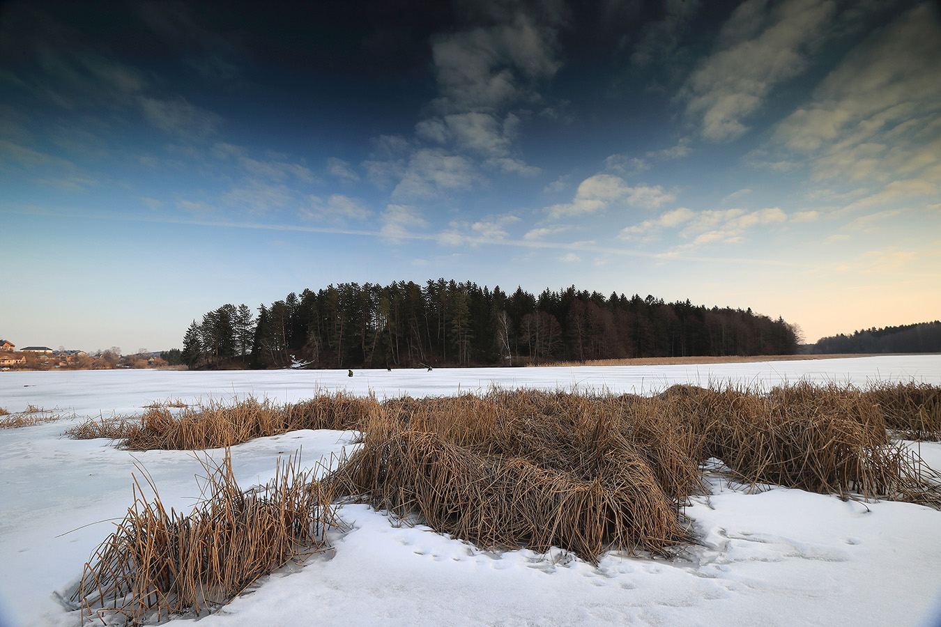 Der Frühling kommt ...
