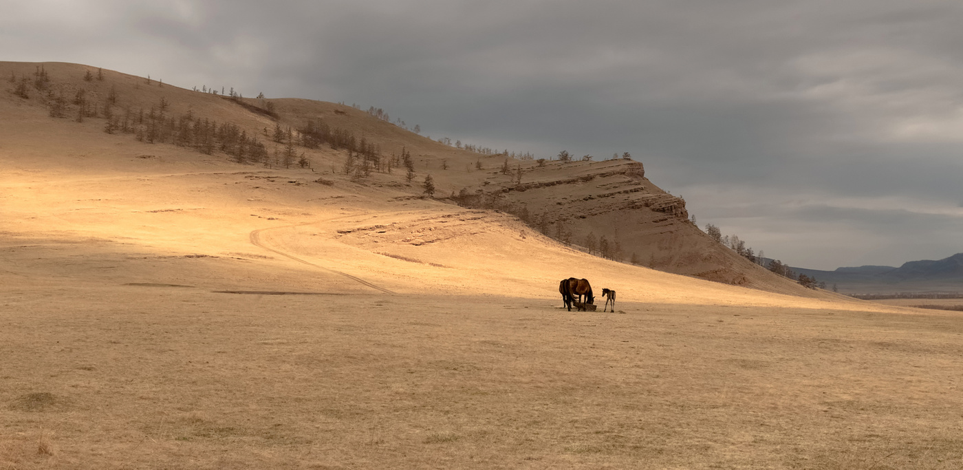 Die Mauern des Klosters