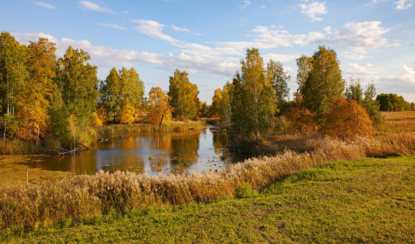 In Erinnerung an die Herbst