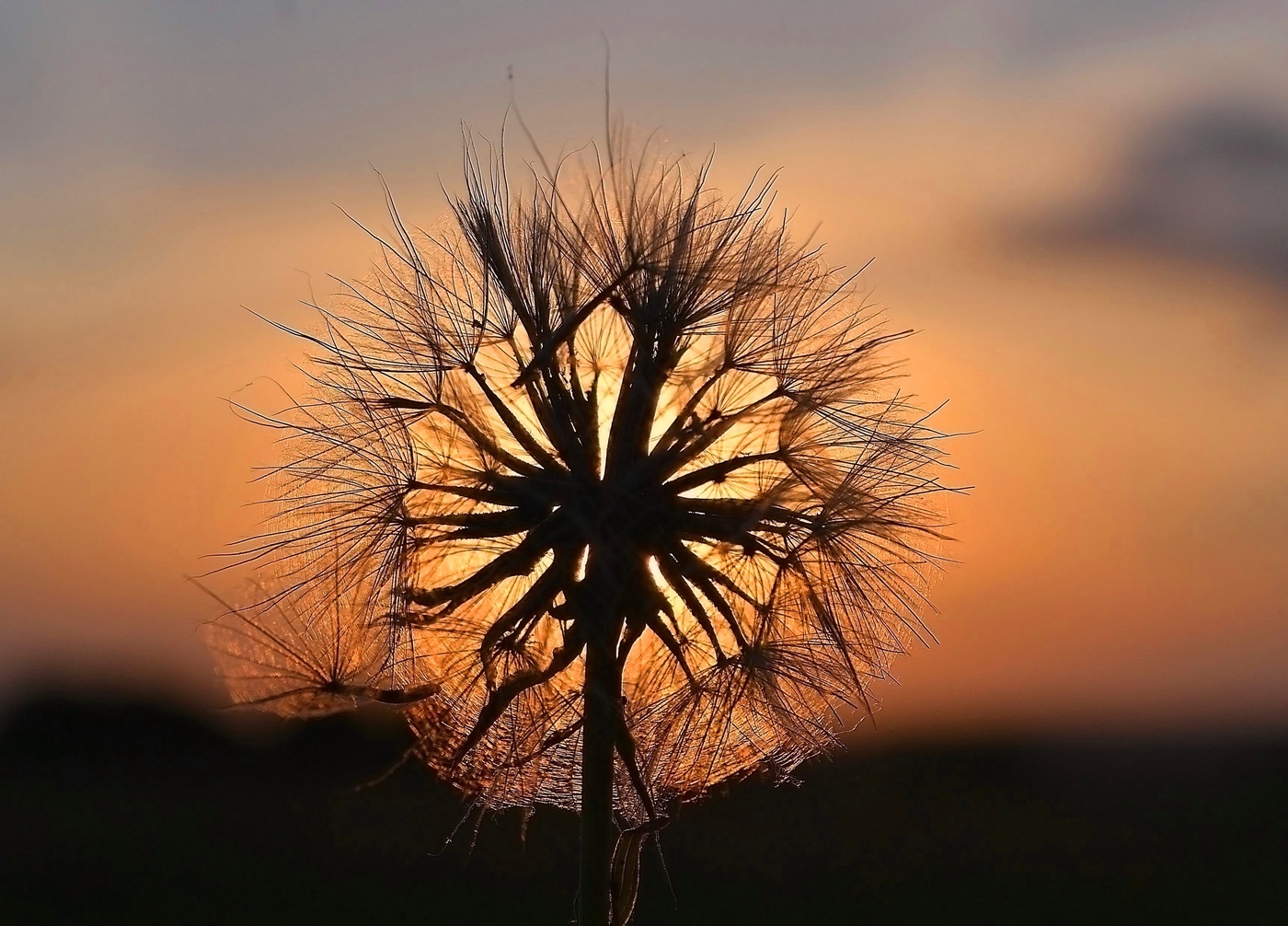 In den Sonnenuntergang.