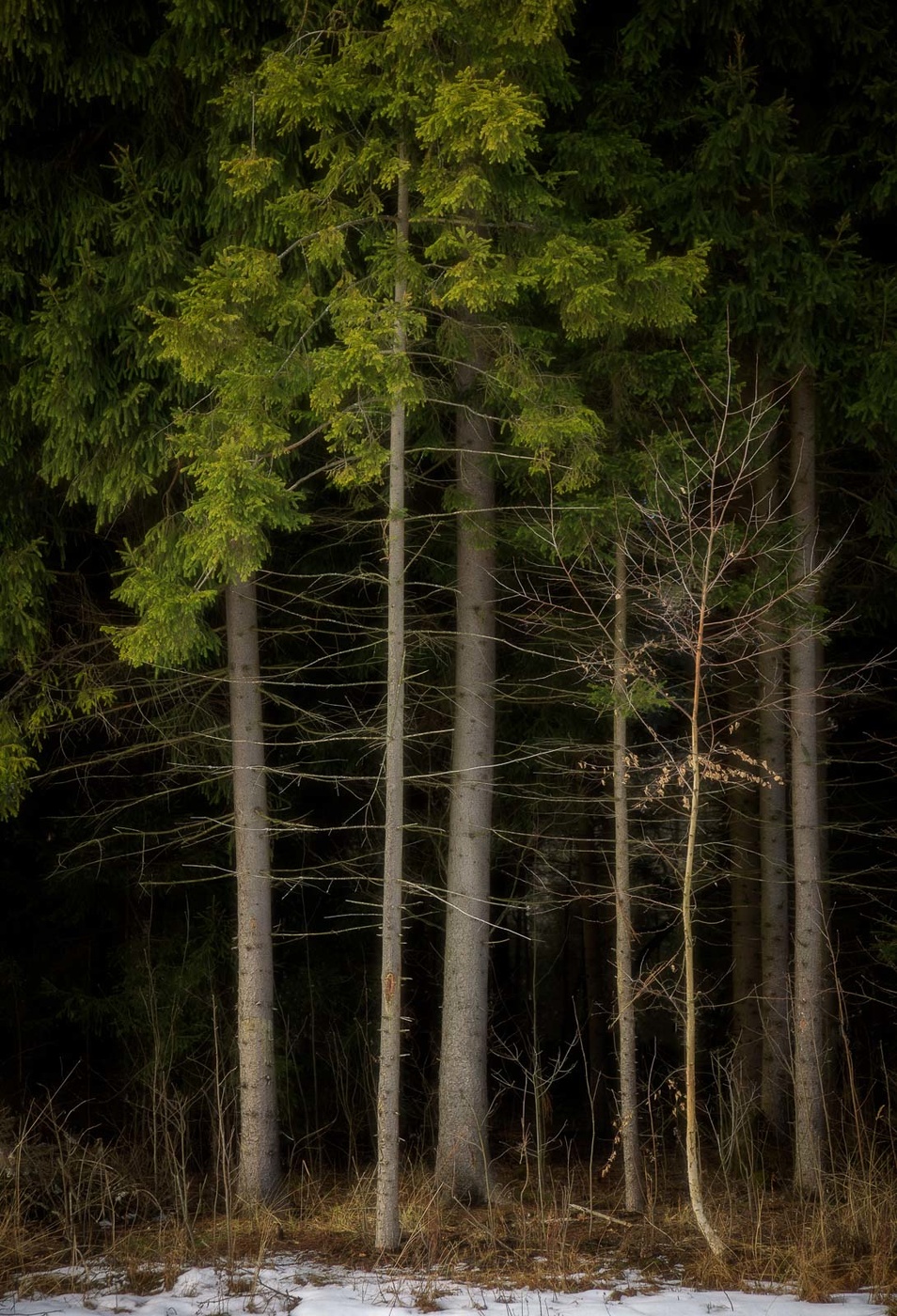 Der Winter ist vorbei