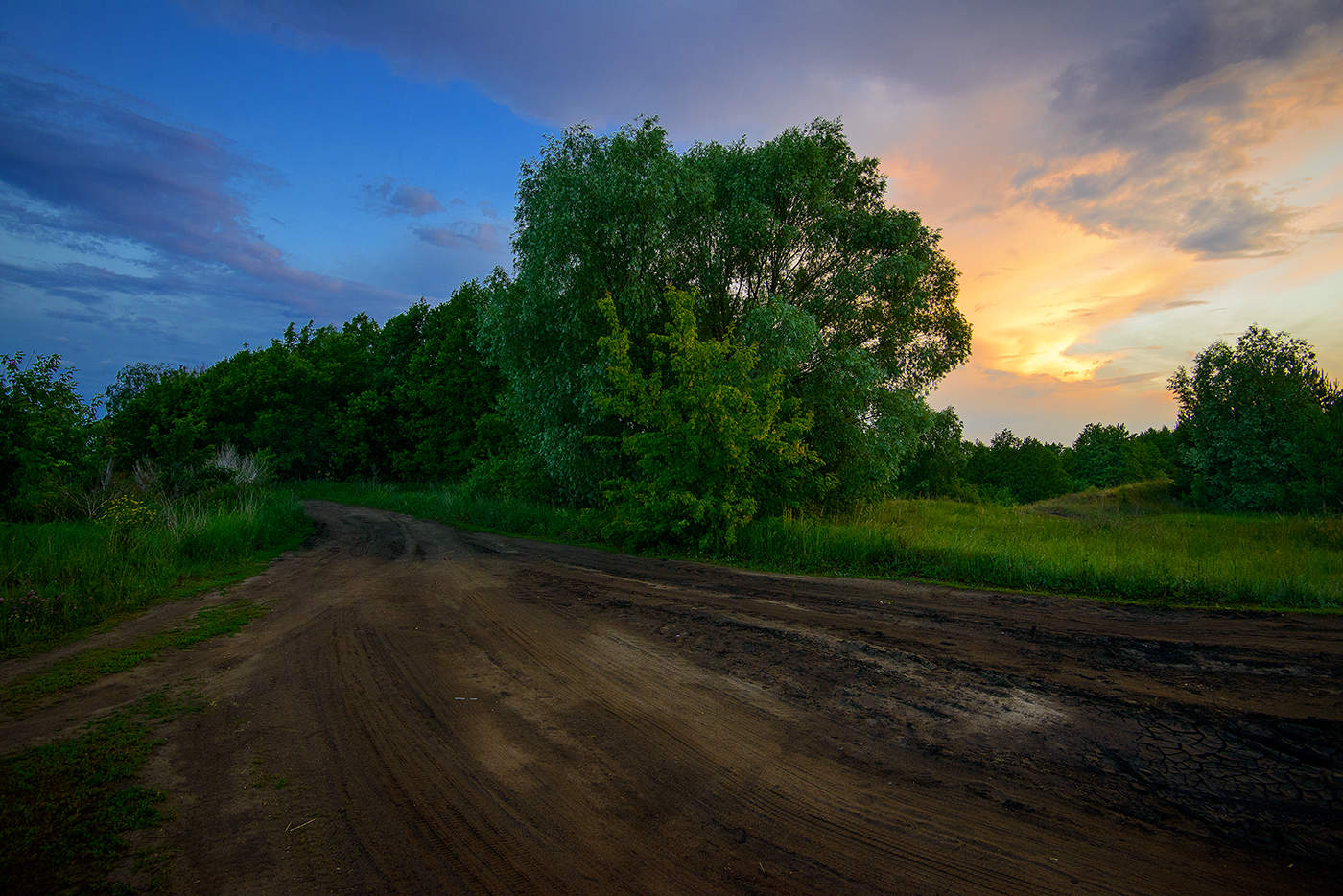Zurück nach Hause ...
