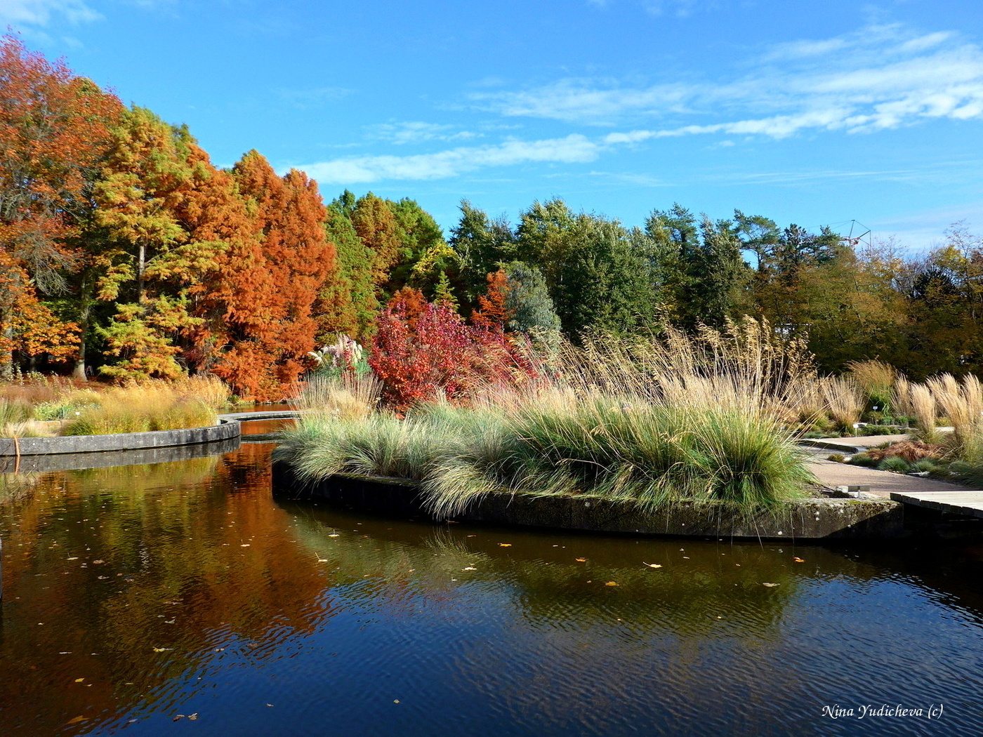 Loki Schmidt Garten Hamburg