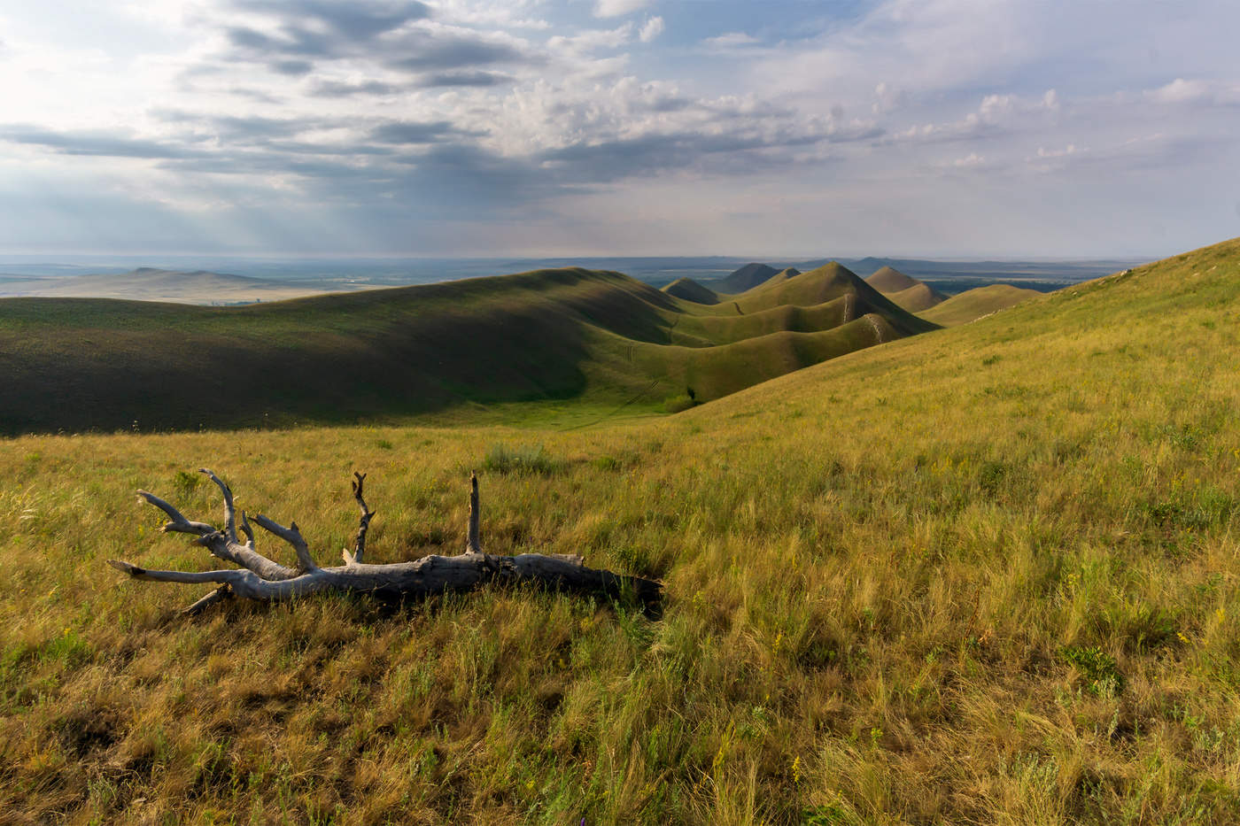 Morgen in den Bergen