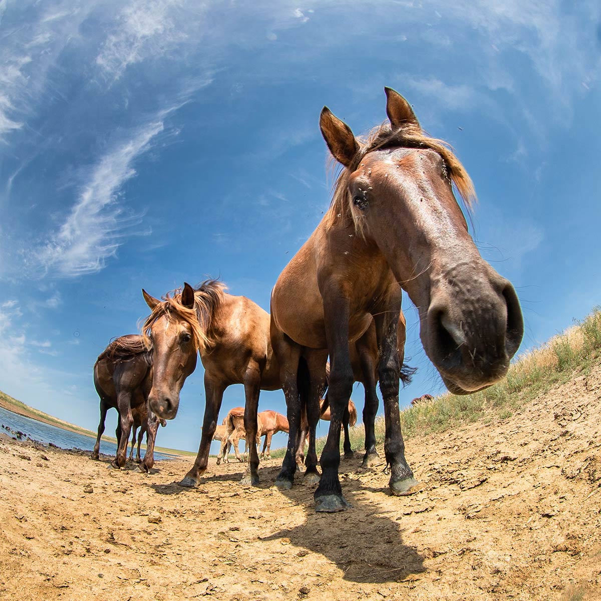 Ein Th machst du denn hier?