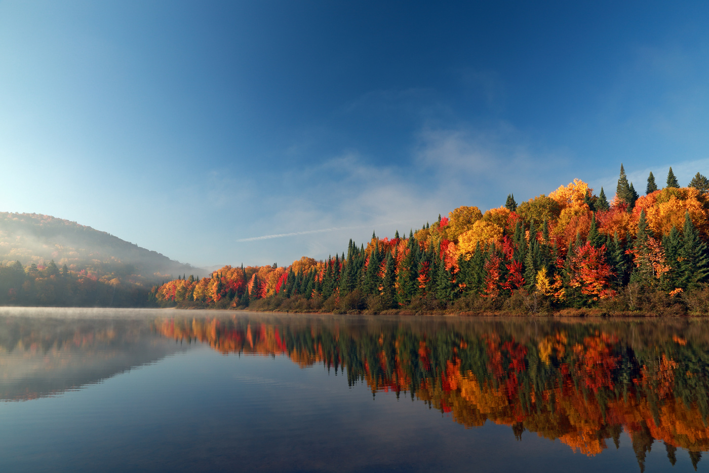 Autumn forest reflected in water.