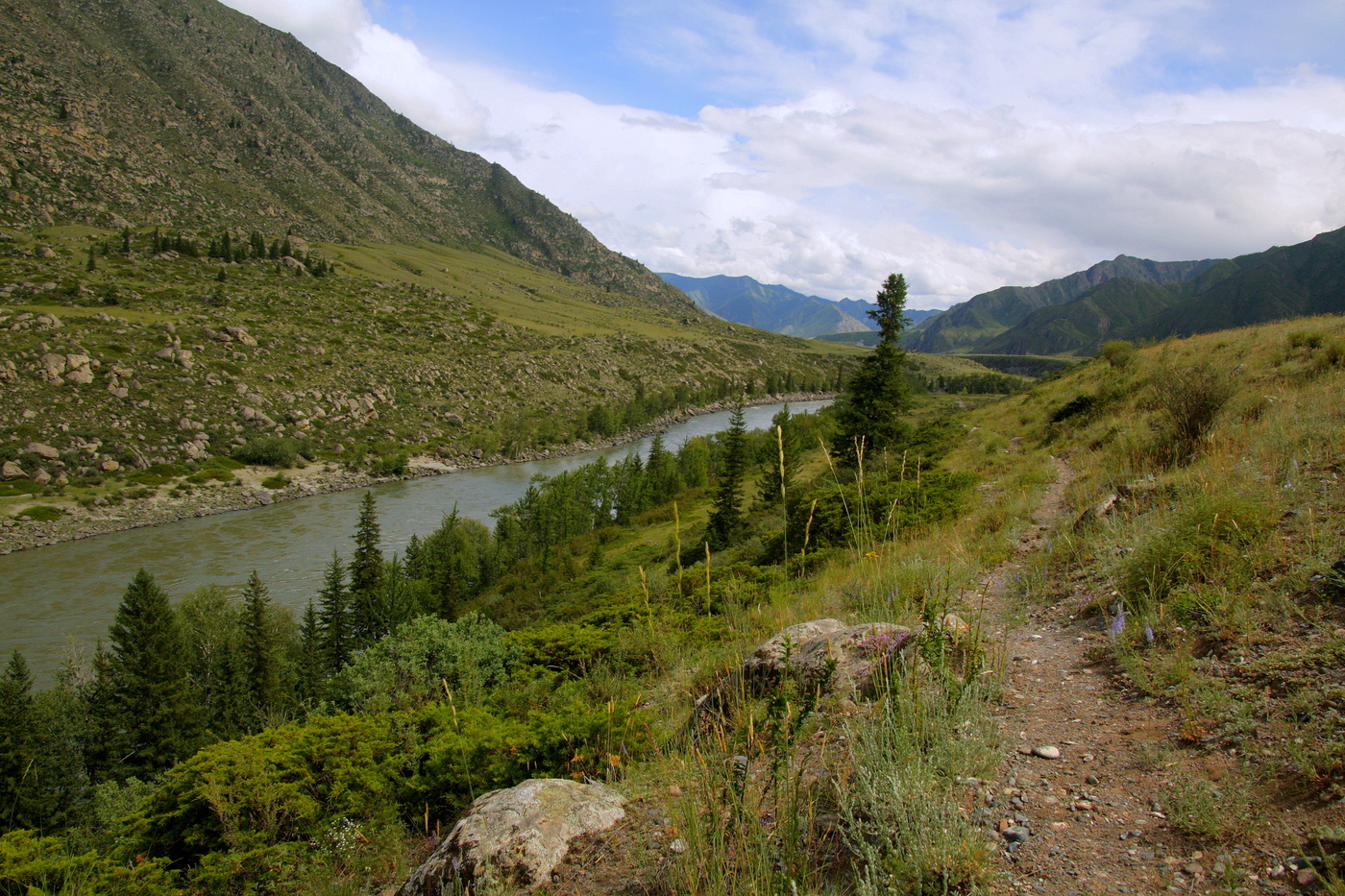 Altai