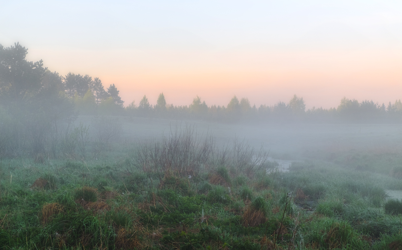 Dämmerung auf dem Sumpf