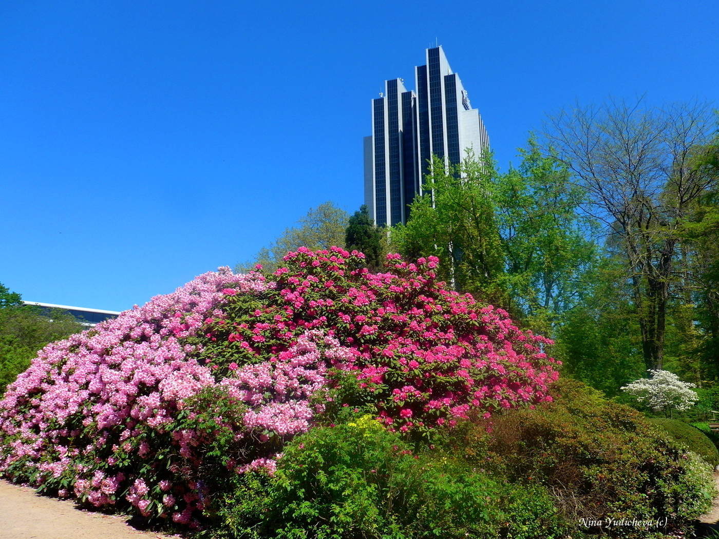 Planten un Blomen Hamburg