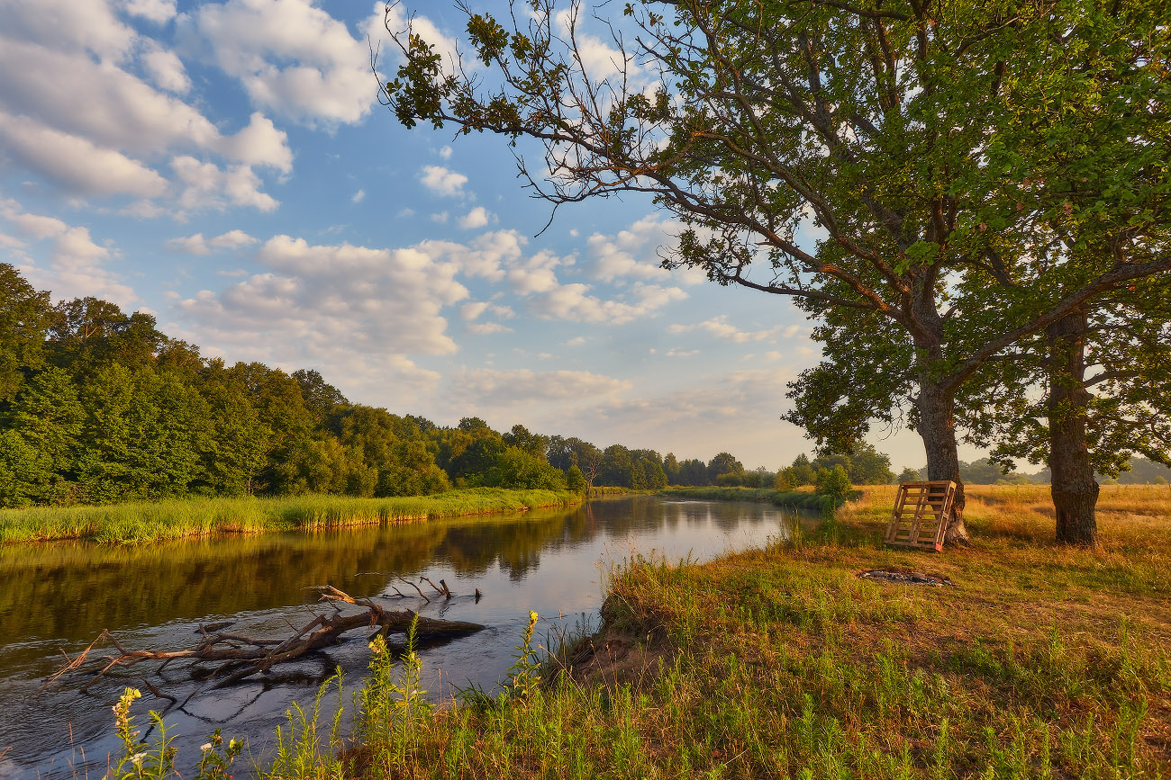 Sommer-Morgen auf dem Fluss