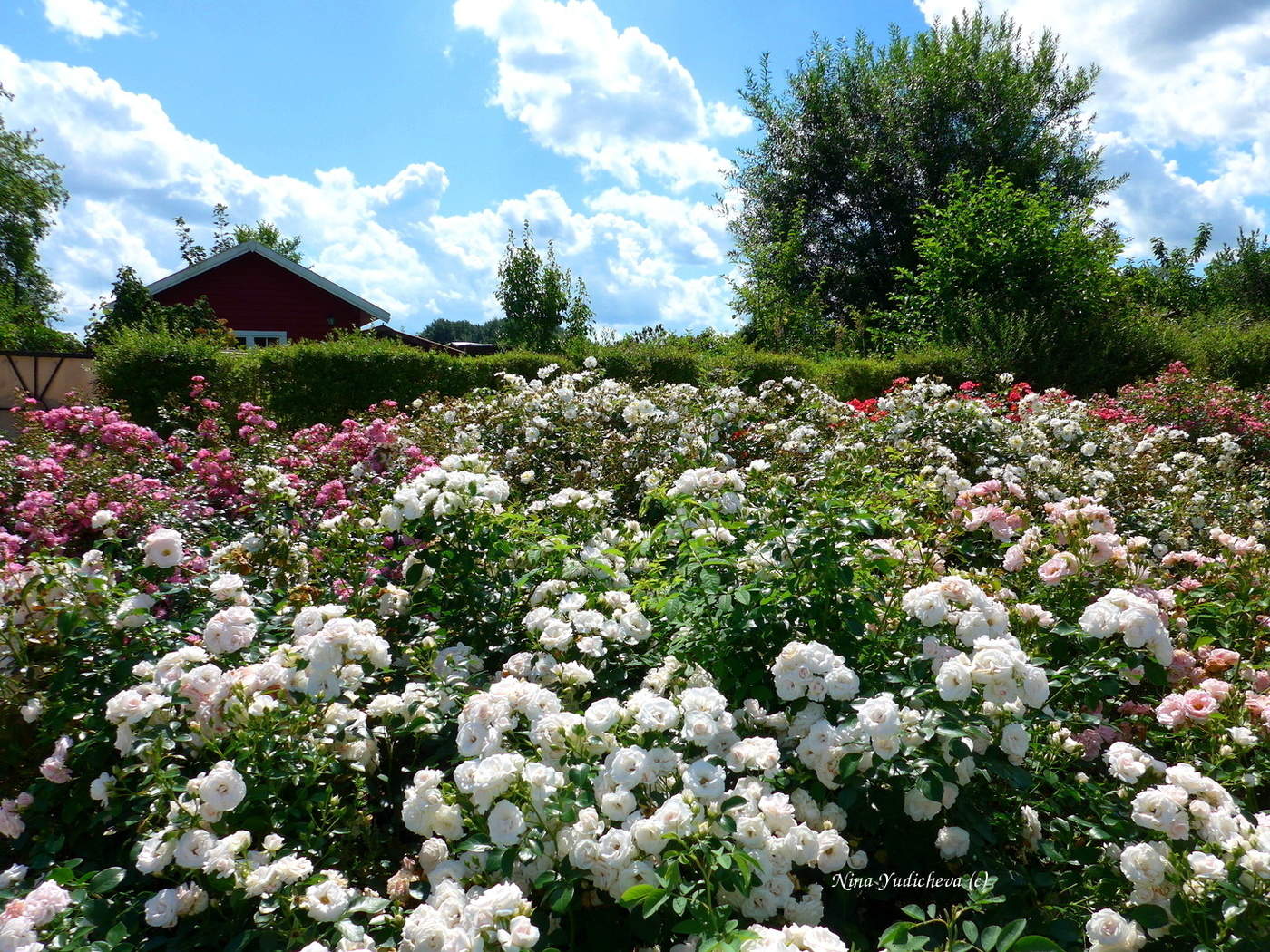 Wilhelmsburger Inselpark Hamburg