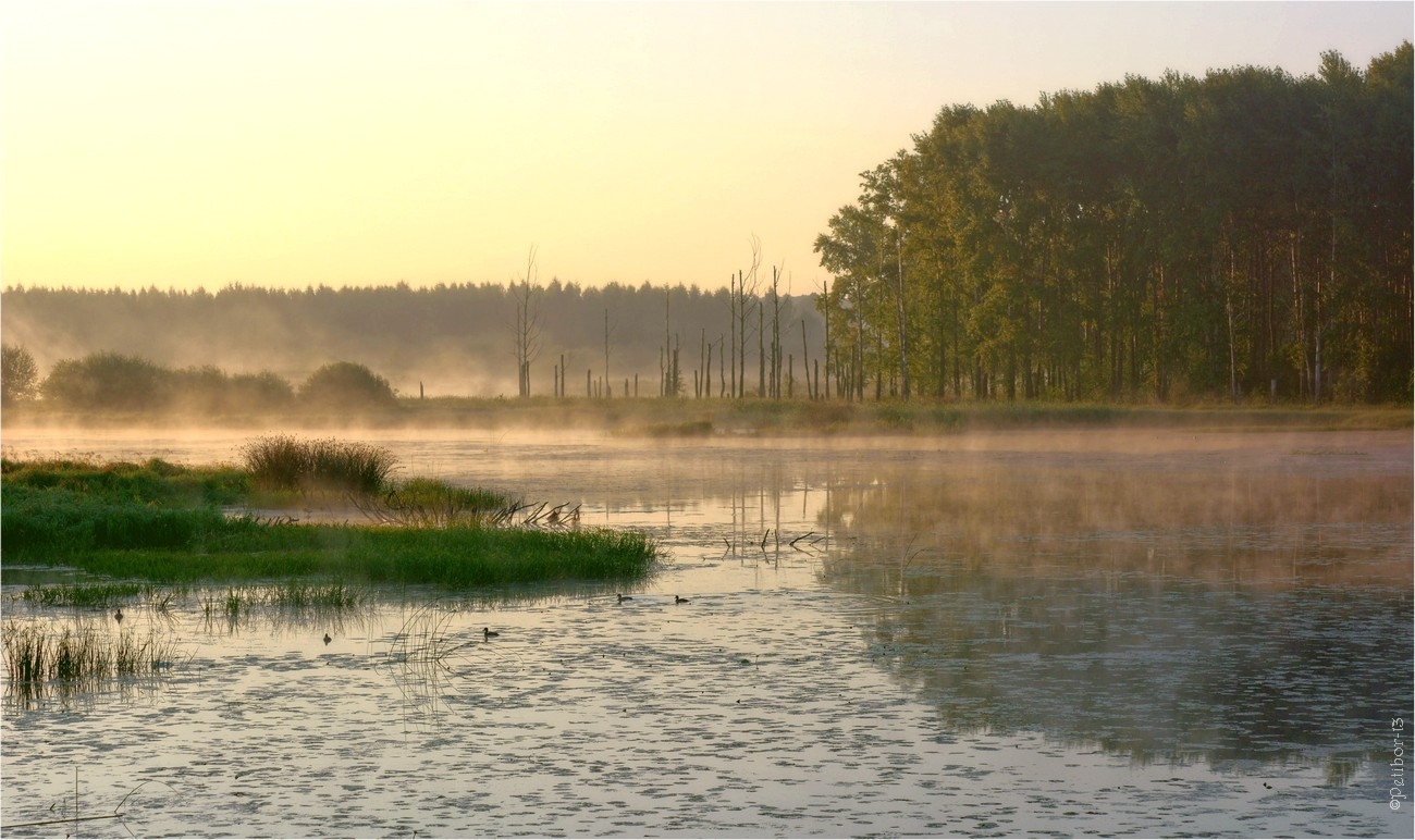Morgen auf dem Altarm