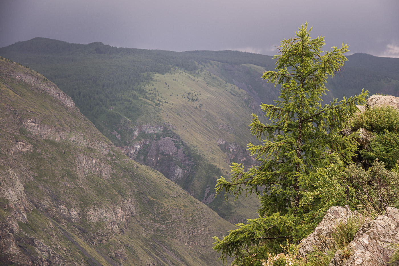 irgendwo in den Bergen