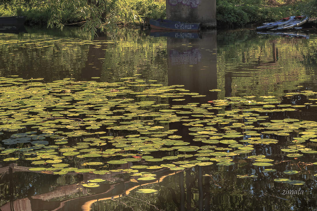 Die Wasseroberfläche