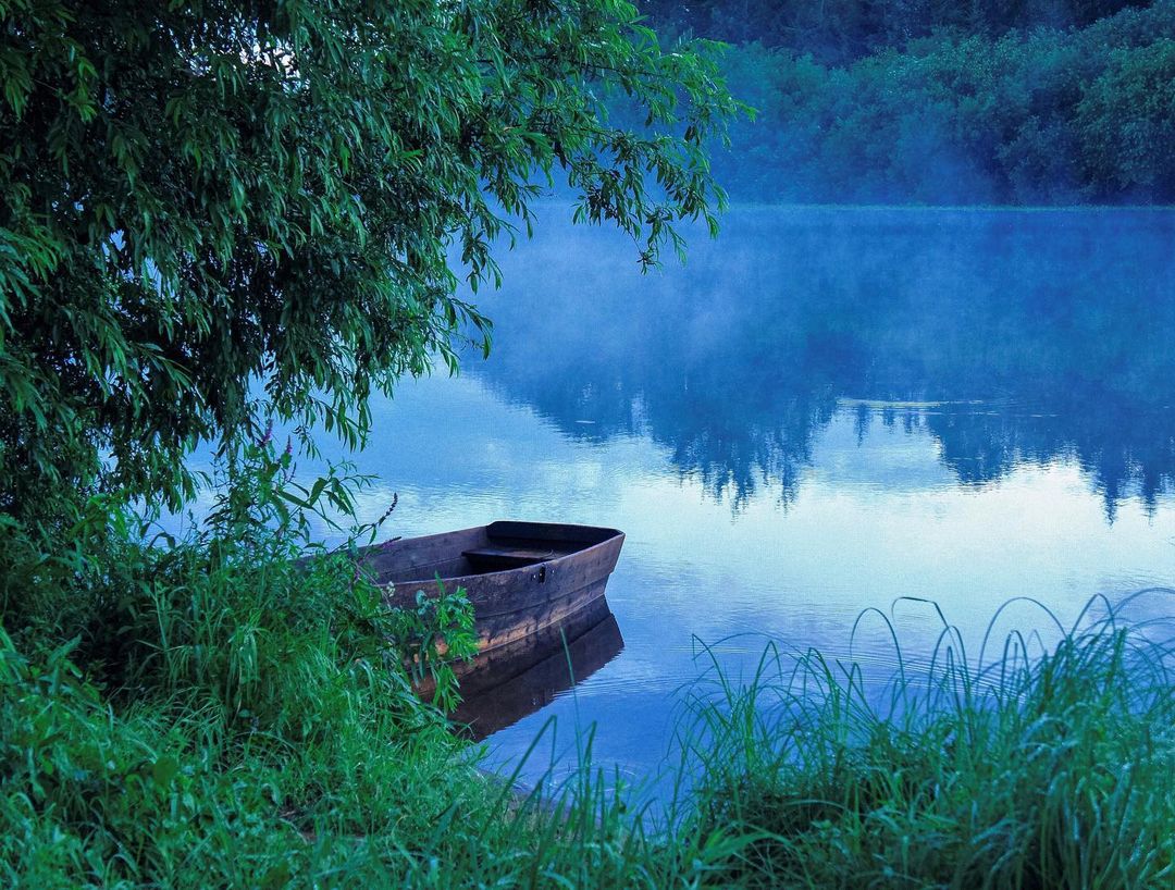 Morgen nach dem regen