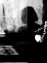 Nadezhda Pavljuchkova